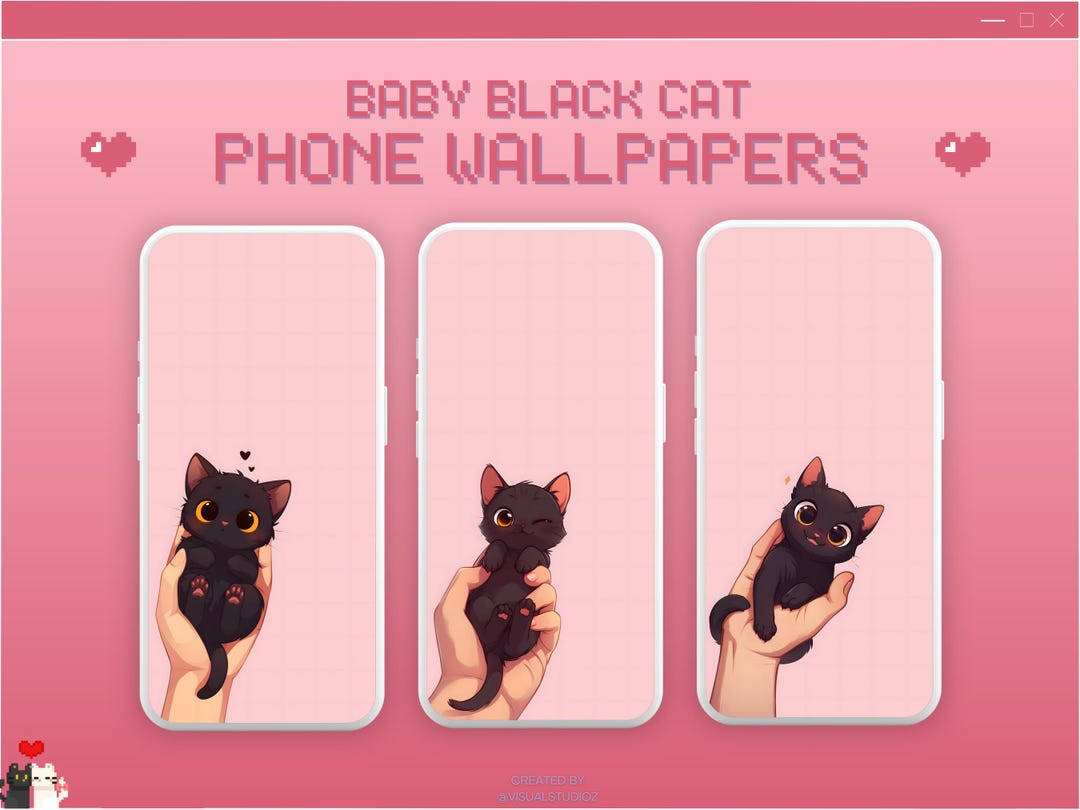 Black Cat Phone Wallpaper Cute Cat Wallpaper Pet Cute Phone Pink ...