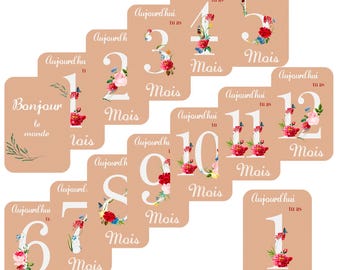 Cartes étapes bébé - Lot de 14 cartes étapes au motif Liberty - Cartes mois par mois - Souvenirs de naissance - Cartes de progression bébé