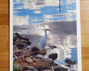 Donna's heron, Suisun City. 5" x 7" art print. Photo print, Waterfront, Heron, water, rocks, reflection, bird