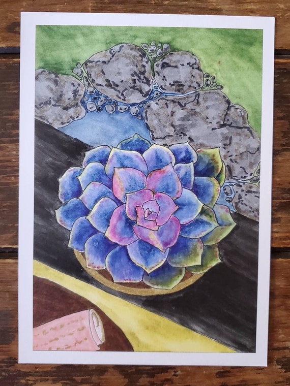 Sukkulentengarten - 13 x 18 cm Kunstdruck. Sukkulenten, Teich, Garten