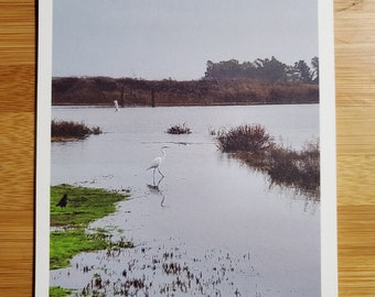 Heron and Raven on the Marsh, Suisun City. 5" x 7" art print. Photo print, Waterfront, heron, raven, marsh, water, reflection, cloudy day