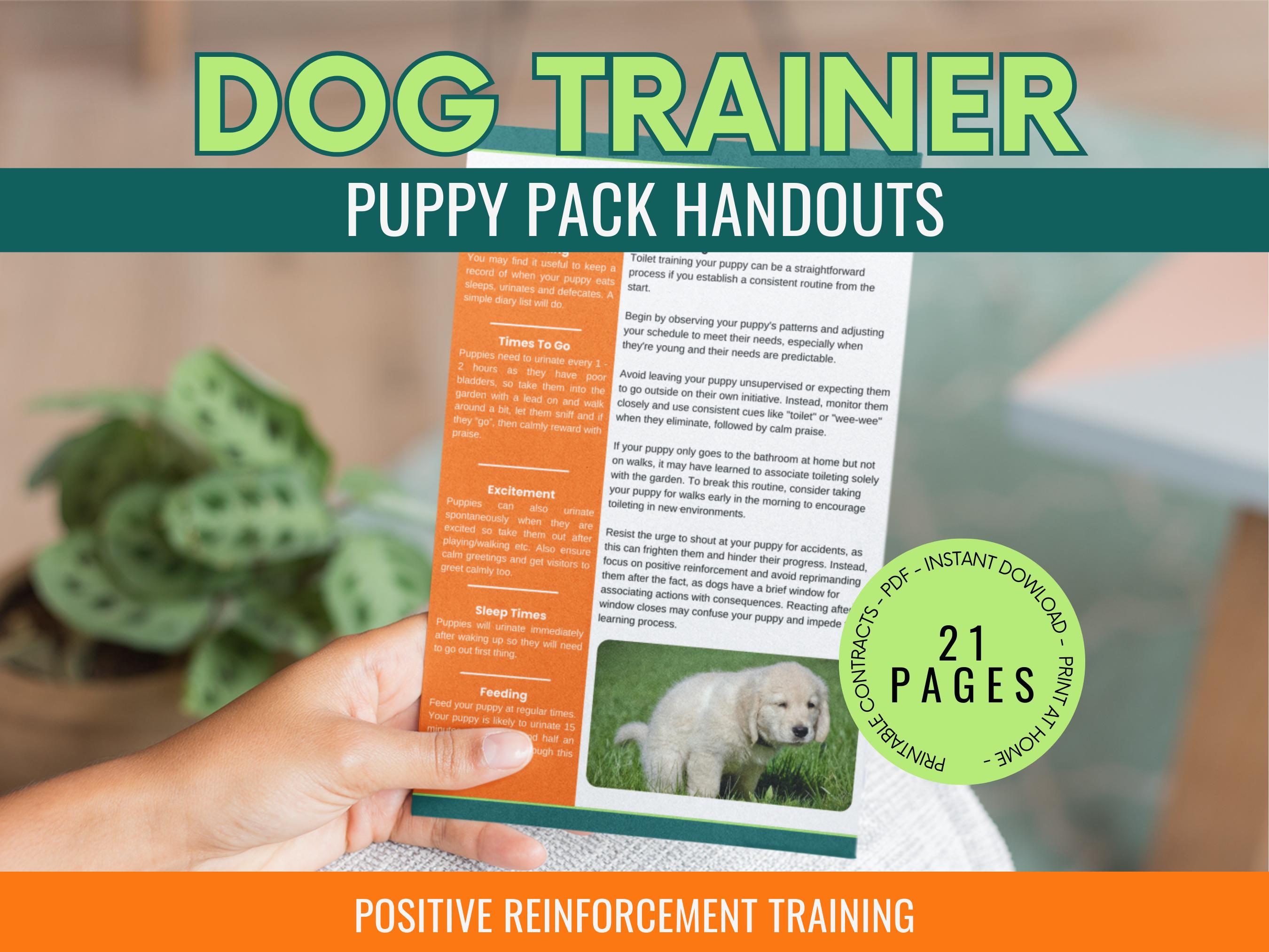 Dog Trainer How To Crate Train An Older Dog Older Dog New Puppy