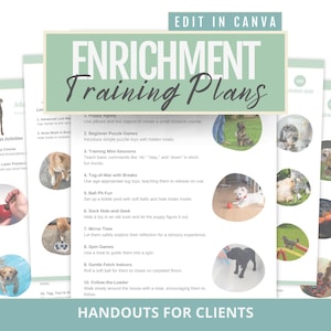 Dog Enrichment Activity Plan Bundle: Trainer Handouts (Digital Download)
