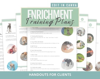 Aktivitätenplan-Bundle zur Bereicherung für Hunde: Handouts für Hundeführer (Digitaler Download)