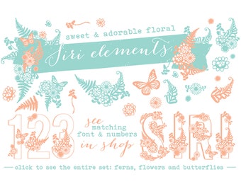 Siri Floral Dingbat Elements Ornamental Font