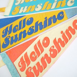 Hello Sunshine Felt Pennant Multi-Color image 4