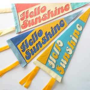 Hello Sunshine Felt Pennant Multi-Color