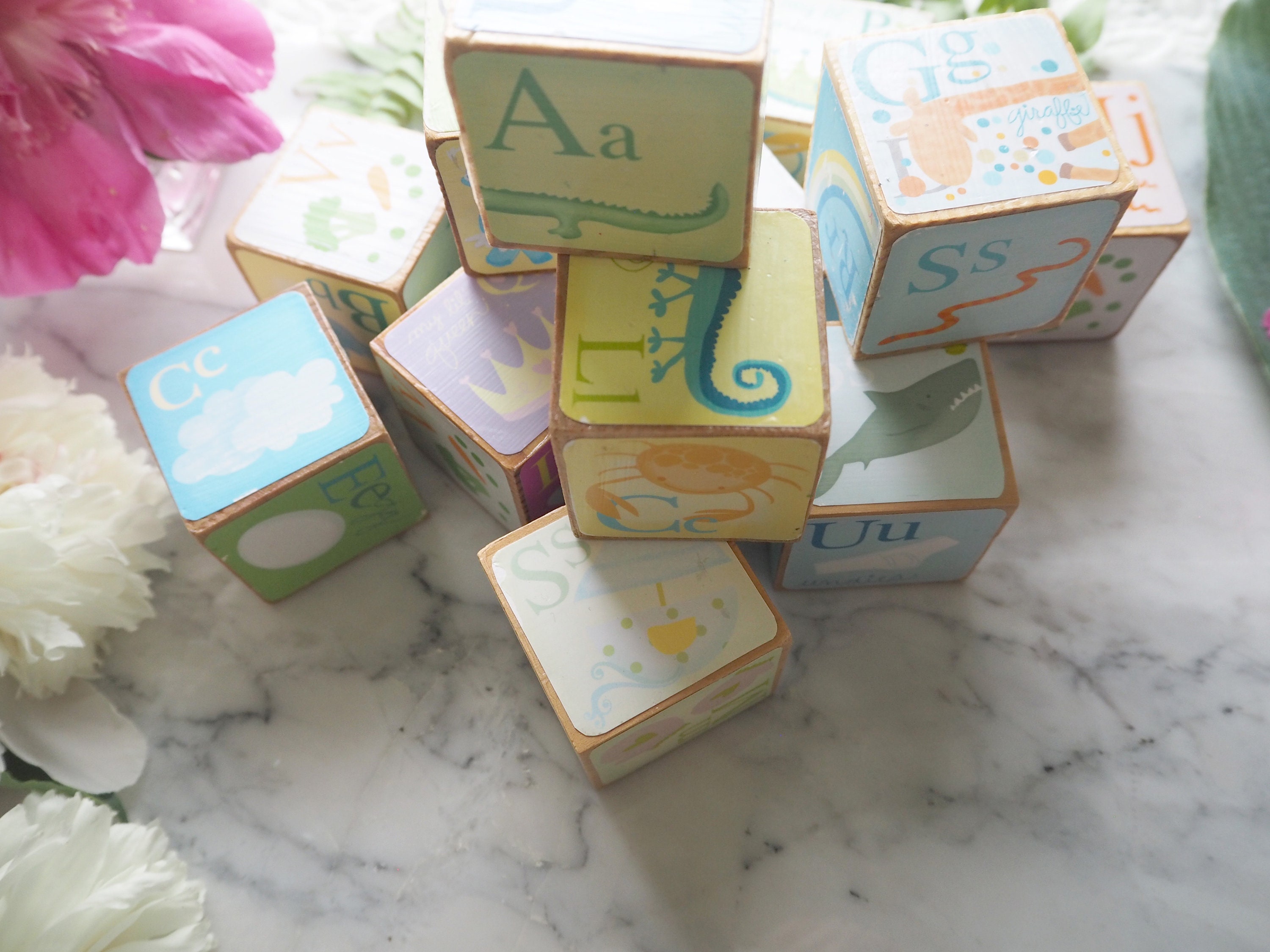 Baby Blocks 2 Inch Illustrated Letter or Number (with Animal or Object ...