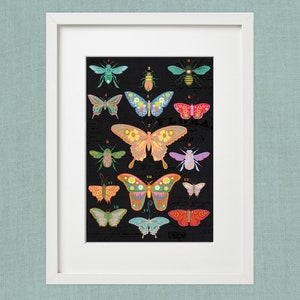 Insect Chart Illustration Print