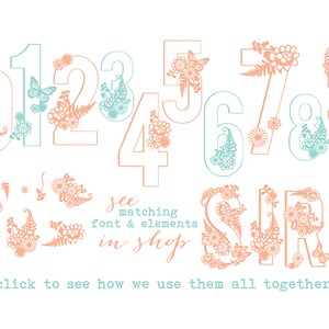 Siri Floral Numbers Font