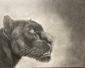Beautiful original graphite drawing of a black panther