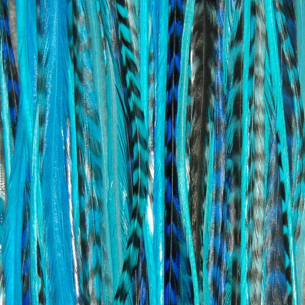 RARE MEDIUM Special Edition all Blue 6 Feather Hair Extensions - Salon Grade : Free mirco link clamp (Limited  Edition)