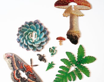 mini wooden puzzles - lasercut wood jigaw puzzle inspired by nature, mushroom, moth, fern or succulent