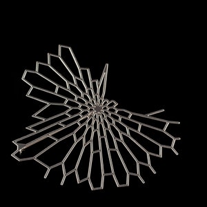 Radiolaria Brooch image 3