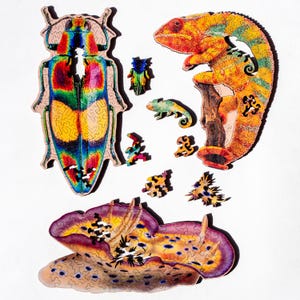Peut inclure: Un puzzle en bois représentant un scarabée coloré, un caméléon et une limace de mer. Les pièces sont découpées en formes complexes et présentent des illustrations détaillées.
