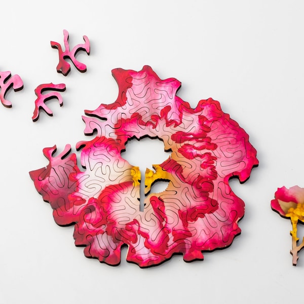 Seconds sale: Mini Begonia Puzzle