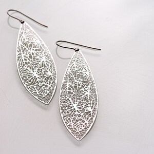 Root Earrings stainless steel image 2