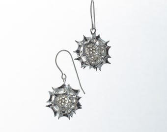 Radiozoa Orb Earrings - sterling silver or brass radiolaria earrings