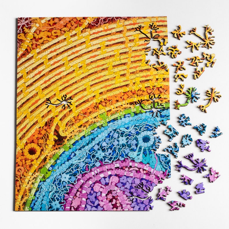 Neuron Puzzle wooden biology and brain themed jigsaw puzzle image 1