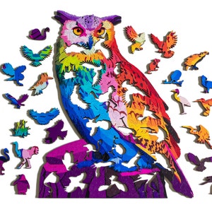 May include: A colorful wooden jigsaw puzzle featuring a large owl with a rainbow pattern. The owl is surrounded by smaller birds, each with a unique design and color.