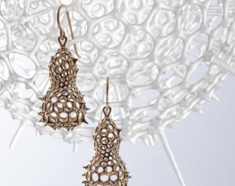 Cyclas Earrings - sterling silver or brass radiolaria earrings