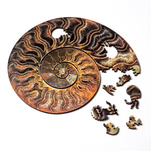 Ammonite Puzzle