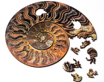 Ammonite Puzzle