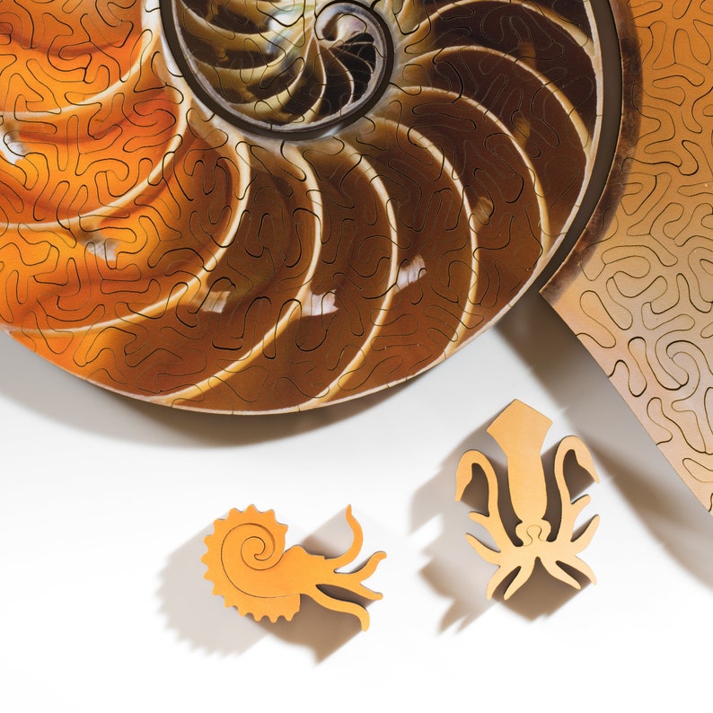 Nautilus Puzzle Wooden Jigsaw Puzzle by Nervous System Etsy