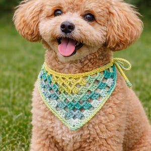 May include: A happy, light brown poodle wearing a handmade crochet bandana in shades of green and blue. The dog is sitting on green grass, with its tongue out, and appears to be smiling. The bandana is tied around the dog's neck.