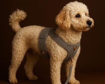 Meer informatie Tutorial Haken op een later tijdstip pdf