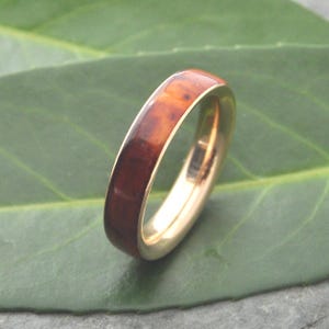 Siempre Ñambaro Yellow Gold Wedding Band, Mens Gold Wood Wedding Band, Gold Wood Wedding Ring, Wooden Ring, Cocobolo Gold Ring