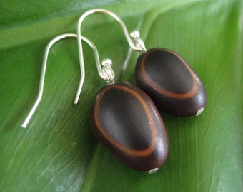 Guanacaste - organic seed earrings with sterling silver earrwires, organic seed earrings, unique brown and black earrings, ecofriendly