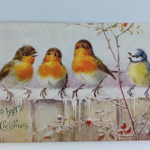 Carte postale vintage Oilette Un joyeux Noël avec des oiseaux, signée A. West Tuck's