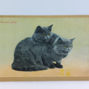 Carte postale vintage Chat Darby et Joan sifflant le chat