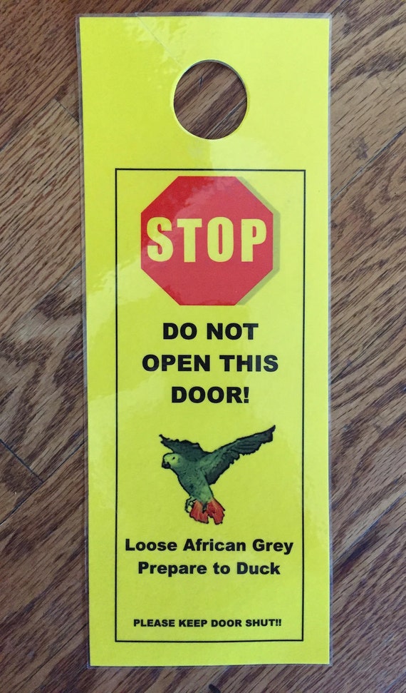 Loose African Grey Prepare To Duck The Sign That Keeps Etsy