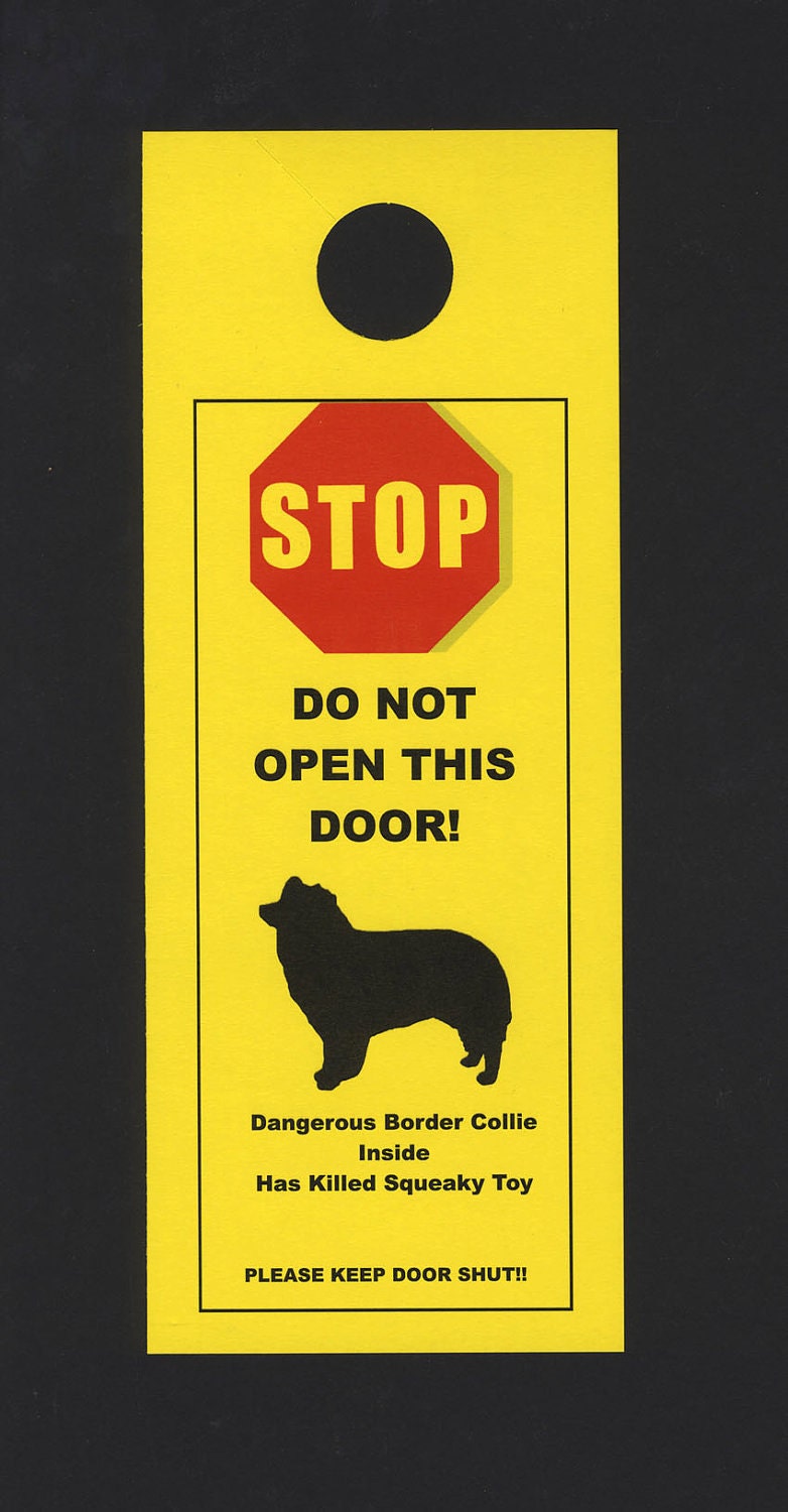 Dangerous Border Collie Inside Has Killed Squeaky Toy Etsy