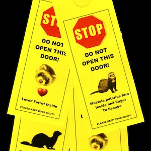 Ferret Friendly Door Alerts Keeps Your Small Pet Safe