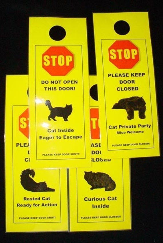 Keep Curious Cat From Slipping Out An Open Door For Longhaired Cats