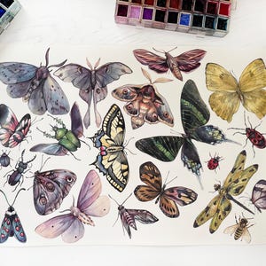Schmetterling-Kollektion. Original Aquarellmalerei. Wandkunst.