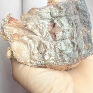 Verse Nigeriaanse gedroogde Eja Osan. Mangala. Asa. 2 grote stukken