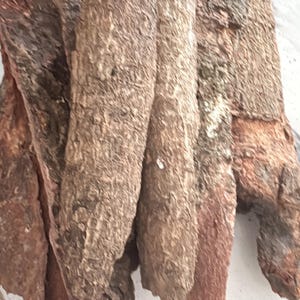 Puede incluir: Primer plano de varios trozos de corteza de árbol. Los trozos de corteza son de varios tonos de marrón y beige, con una superficie rugosa y texturizada. La corteza parece estar seca y posiblemente se utilice para manualidades o decoración.