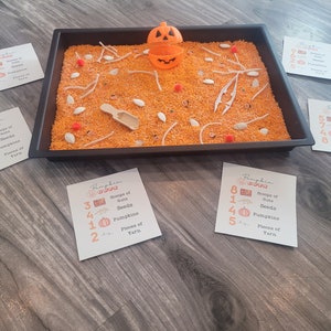 Pumpkin Guts sensory bin