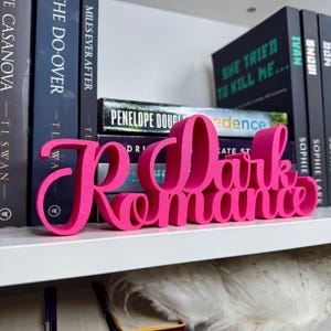 Puede incluir: Un letrero de madera rosa con las palabras "Dark Romance" en una fuente cursiva. El letrero est&aacute; sentado en una estanter&iacute;a blanca con otros libros detr&aacute;s.