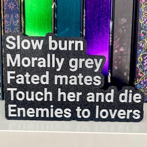 Slow Burn Morally Grey Fated Mates THAD Enemies to lovers Bookshelf Decor Library Sign Spicy Gift Custom Colors Book Decor 3d Printed