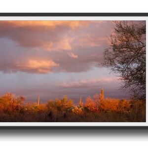 Golden Sunset Desert Art Print: Southwest Landscape (Digital Download)
