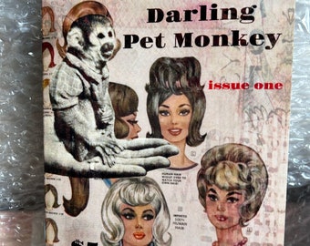 Darling Pet Monkey #1