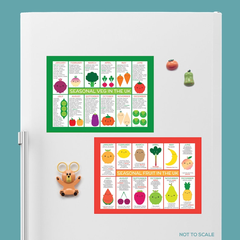 UK Seasonal Food Charts / Magnets Kawaii Fruit & Vegetables image 4