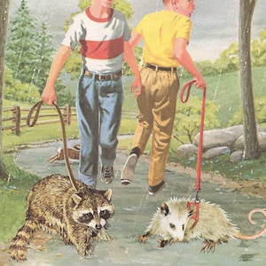 Impression d’art chatons - prête à encadrer + accrocher, excellent cadeau pour vos amis amoureux des opossums et des ratons laveurs. Sauvez une vermine aujourd'hui !