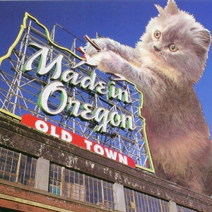 Jeu de cartes postales Les chats géants de Portland représentant 21 chats différents s'emparant de la pittoresque ville de Portland, Oregon, et provoquant une destruction adorable