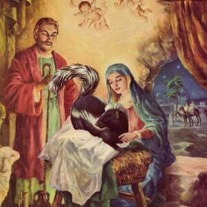 Il Natale puzza! -Cofanetto stagionale di cartoline natalizie Skunk Nativity di Unusual Cards. Divertenti collage tagliati a mano rendono le vacanze migliori!